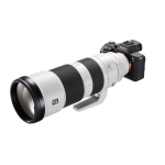 Sony FE 200-600mm f/5.6-6.3 G OSS Lens